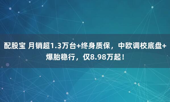 配股宝 月销超1.3万台+终身质保，中欧调校底盘+爆胎稳行，仅8.98万起！