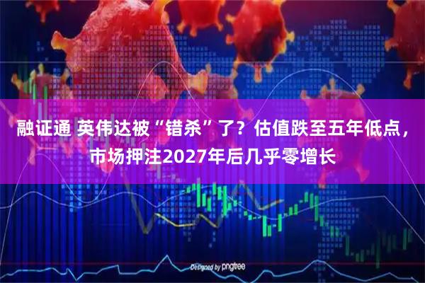 融证通 英伟达被“错杀”了？估值跌至五年低点，市场押注2027年后几乎零增长